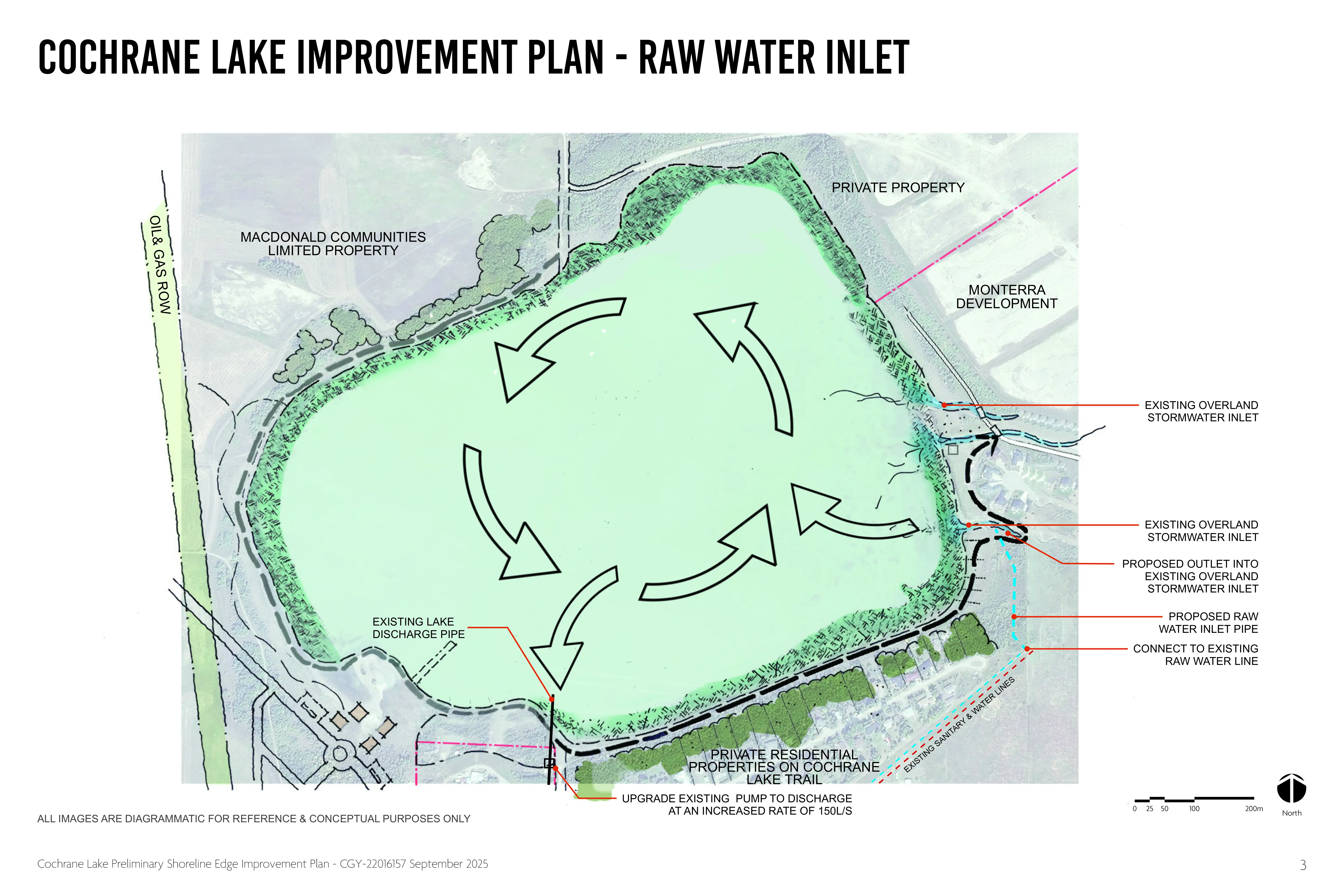 The cochrane lake shoreline