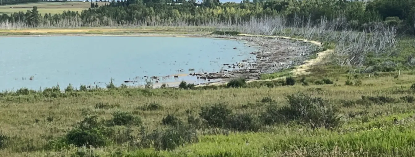 The cochrane lake shoreline
