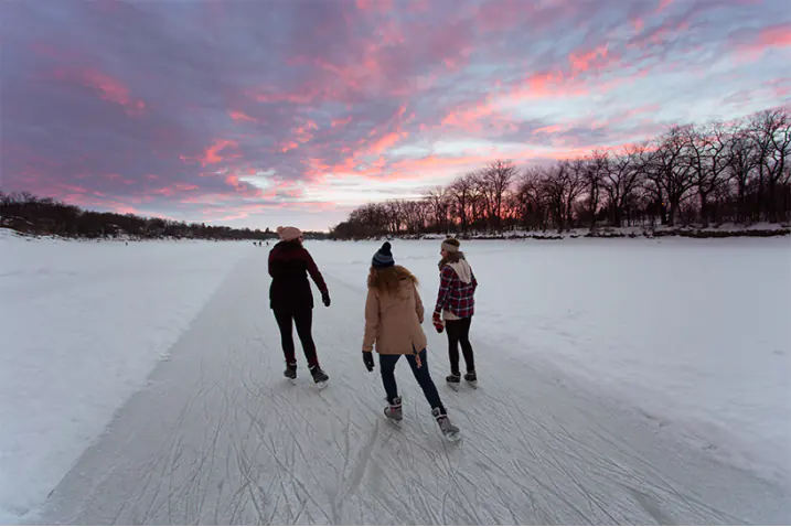 The cochrane lake shoreline